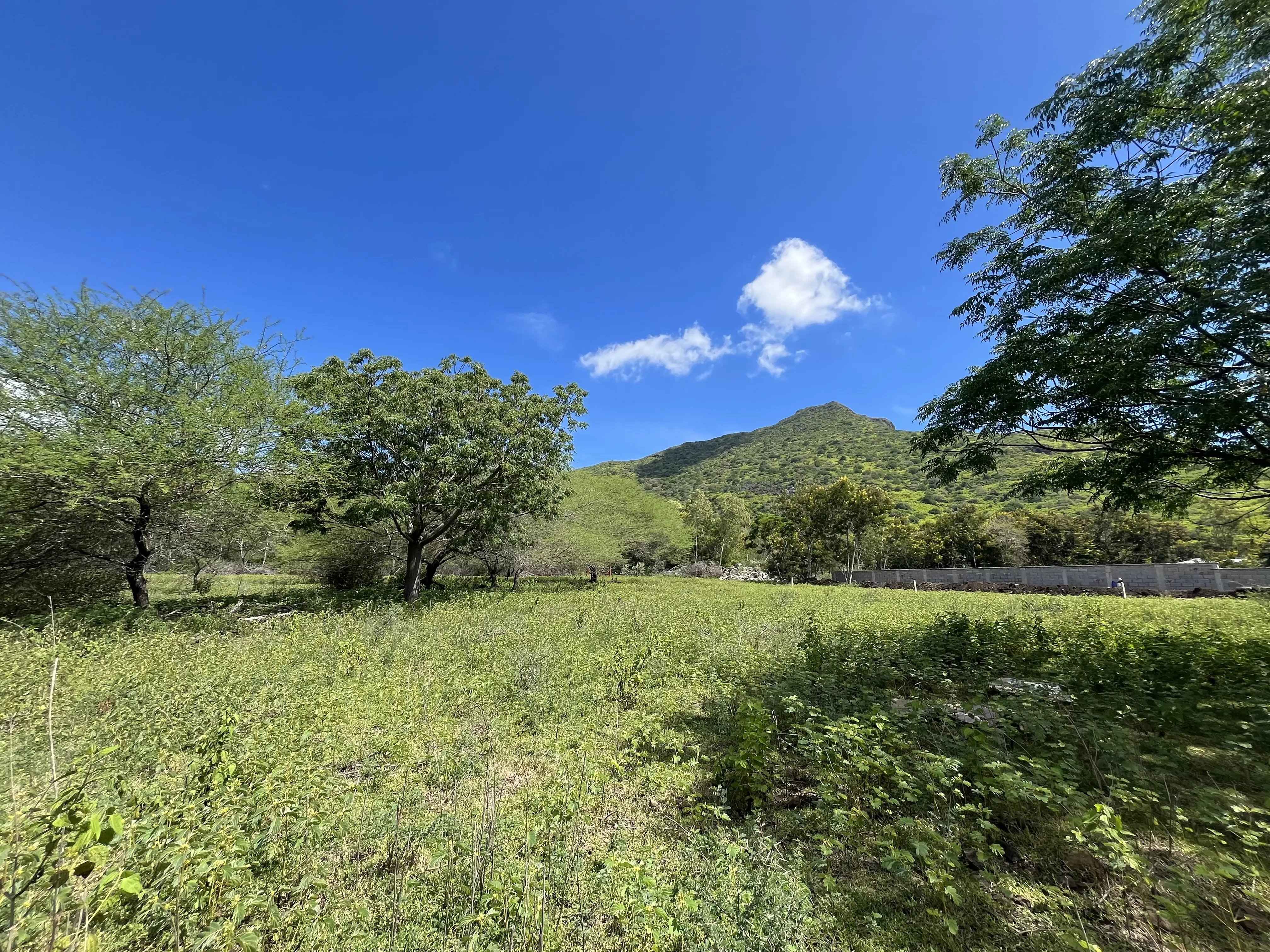 0428e9ce29ffa7d15367037699838e76 fd56a51b02 4032 original - Attribut alt par défaut.