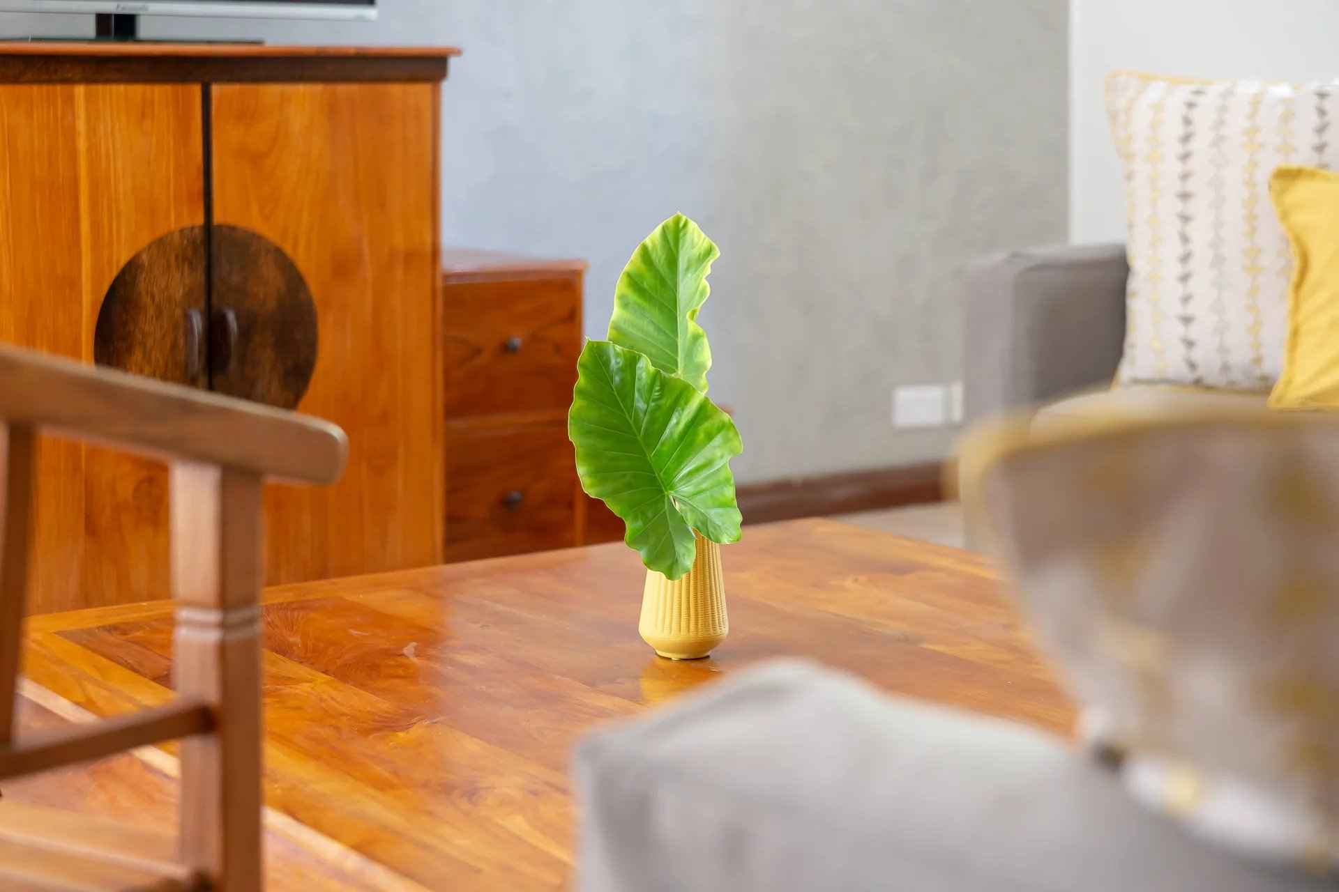 24544488f5273c9821e387ac1ac00e2f ae99cdc7ca 1920 original - Attribut alt par défaut.